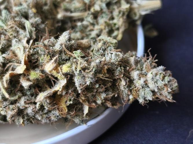 Frozen Black Cherry (Anesia Seeds). Week 17 - after 3 weeks of curing in the jar