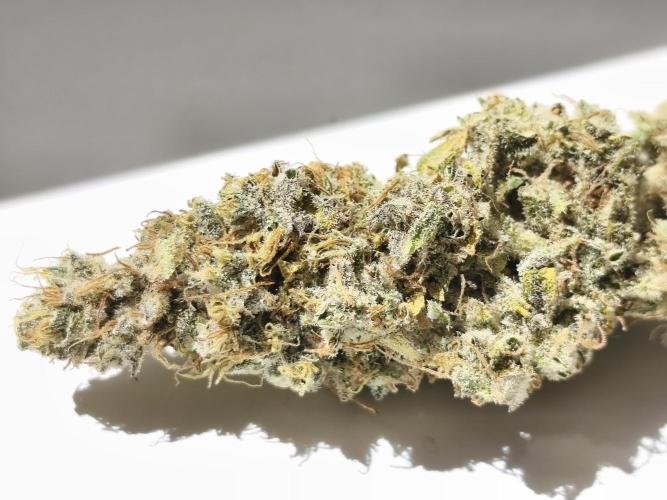 Frozen Black Cherry (Anesia Seeds). Week 17 - after 3 weeks of curing in the jar