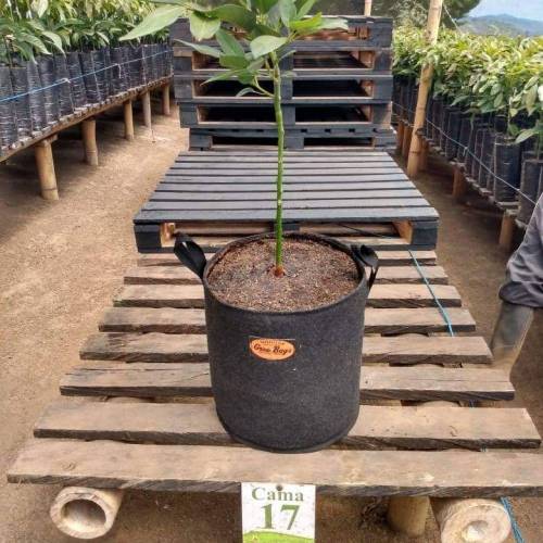 Materas Geotextil Colombia Todos Litros. Week 0