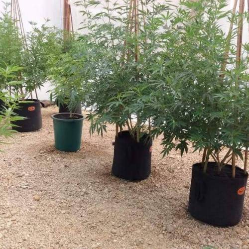 Materas Geotextil Colombia Todos Litros. Week 0