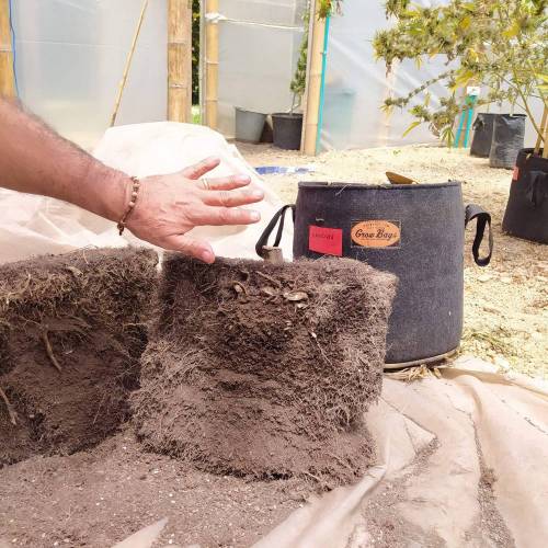 Materas Geotextil Colombia Todos Litros. Week 0