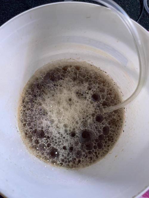 Double Grape. Week 9 - D61. The finished compost tea