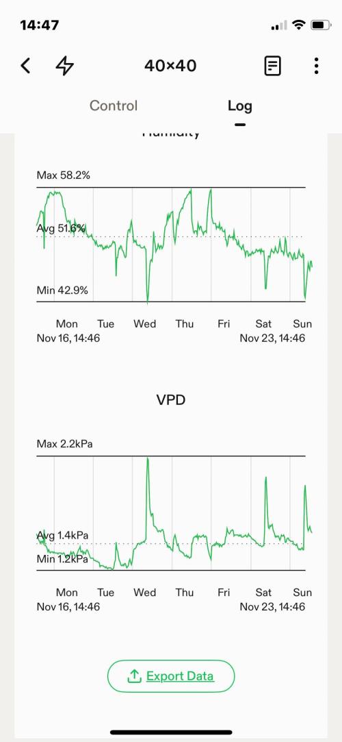 Double Grape. Week 11 - D77. Week summary