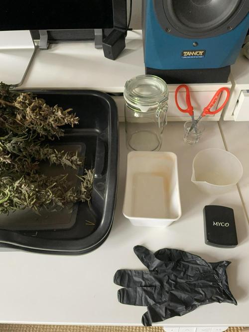 Midnight Mass. Week 12 - Let the fun begin!