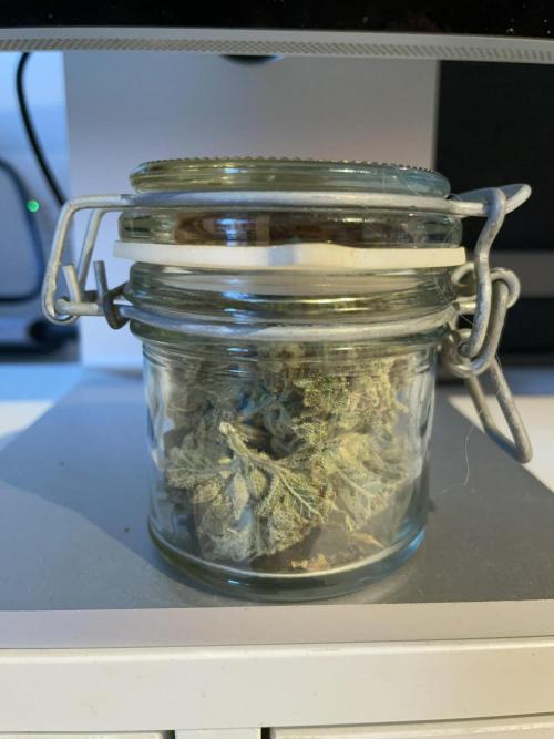 Blue Power Auto F4. Week 12 - Most biggest yield ever!