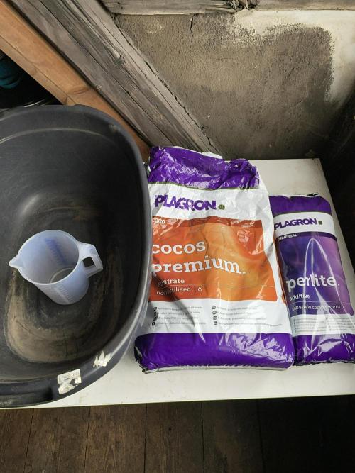 Sticky Broccoli. Week 1 - D2. Mixing the substrate