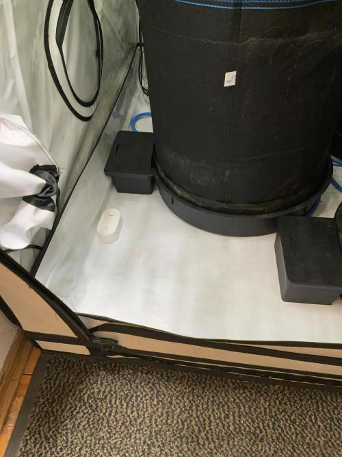 Plumz. Week 9 - Important to keep the tent clean