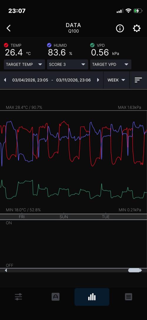 Plumz. Week 9 - Week summary