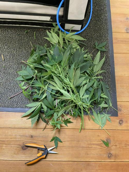 Cap Junky. Week 9 - More clean up