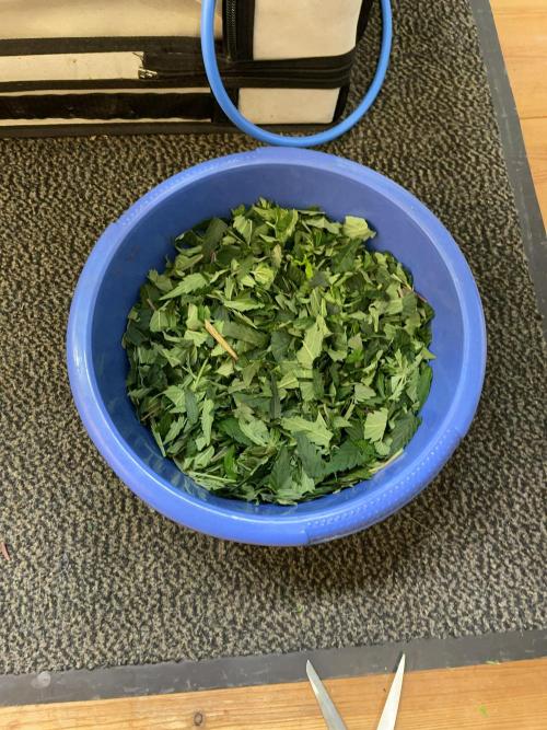 Cap Junky. Week 9 - All cut up