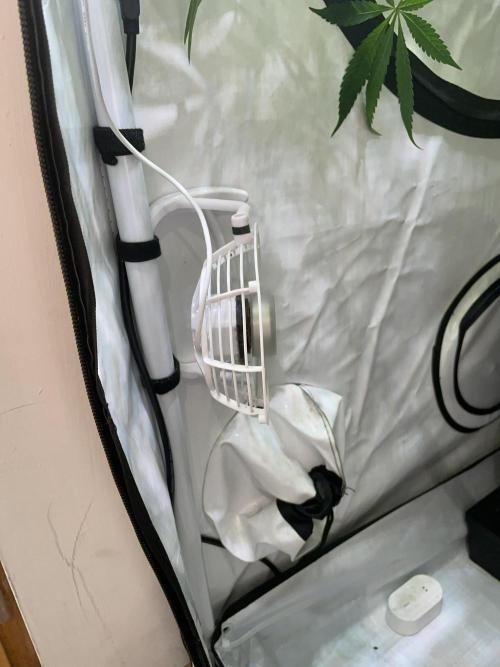 Cap Junky. Week 11 - Small USB fan to circulate air underneath the canopy