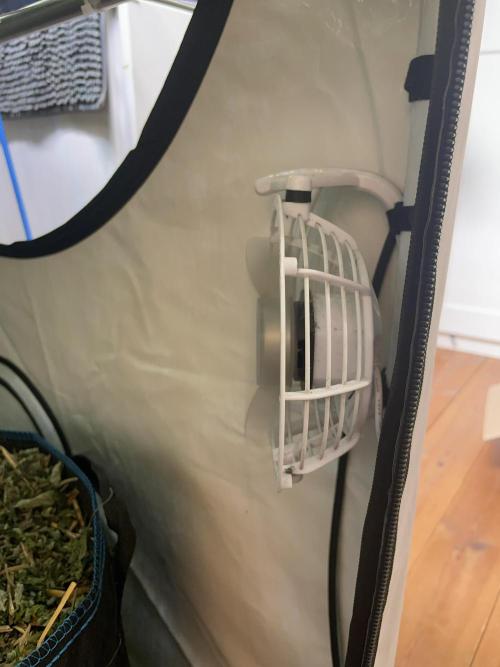 Cap Junky. Week 11 - Small USB fan to circulate air underneath the canopy
