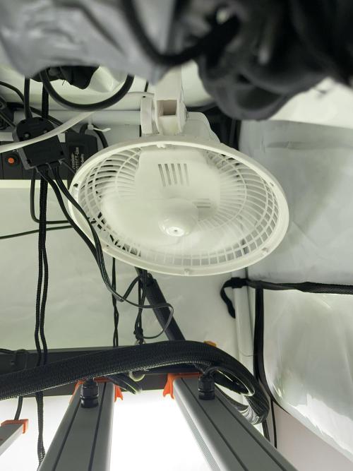 Plumz. Week 14 - Installed another fan