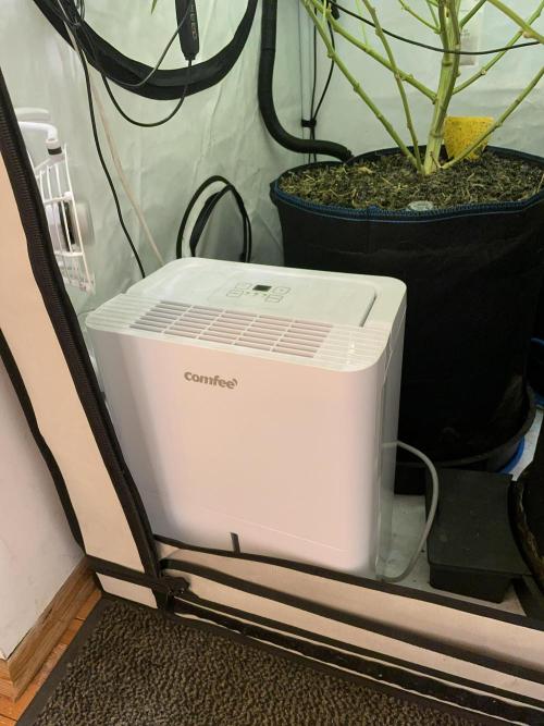 Cap Junky. Week 14 - Installed a dehumidifier