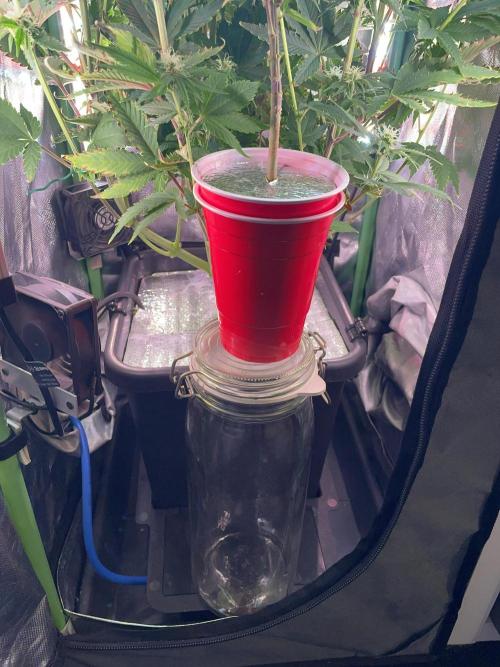 Sticky Broccoli. Week 11 - F28. #2, if it's stupid but works, then it isn't stupid :D