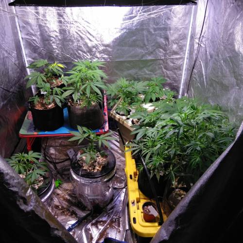 stiva. Week 1