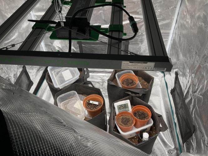 First indoor after 20 years under SUN. Week 0 - I waiting for humidifier. After weekend i want to raise up humidity up to 70  % 