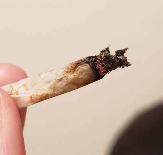 Z Auto by Fast Buds (Budget Grow!). Week 13 - Rolled & smoked