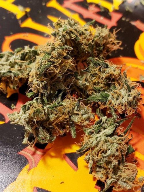 Z Auto by Fast Buds (Budget Grow!). Week 13 - Some of the nugs, currently curing.