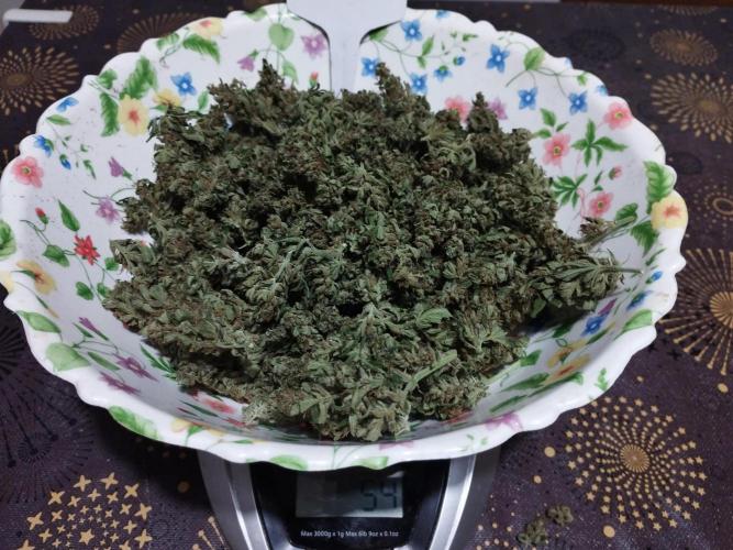 altro out 2025. Week 15