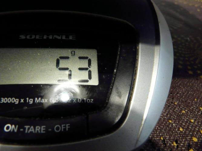 Gorilla Melon outdor. Week 16