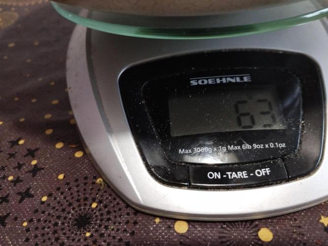 Kannabia Out 2025. Week 17