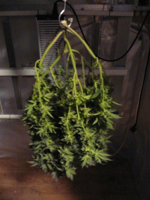 Mix Pack. Week 15