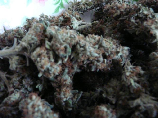 Mix Pack. Week 15