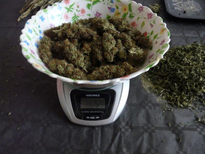 Mix Pack. Week 15