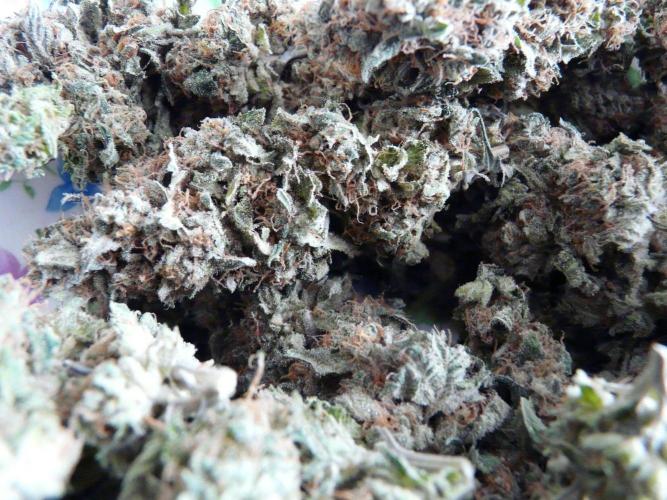 Mix Pack. Week 15