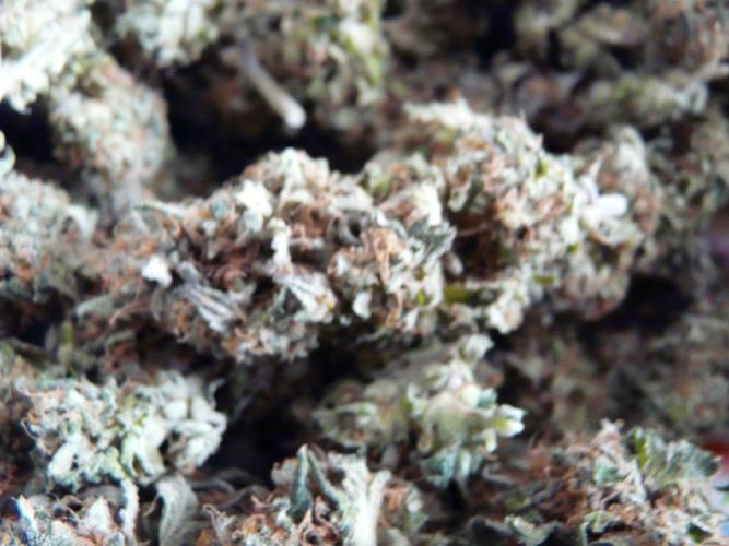 Mix Pack. Week 15
