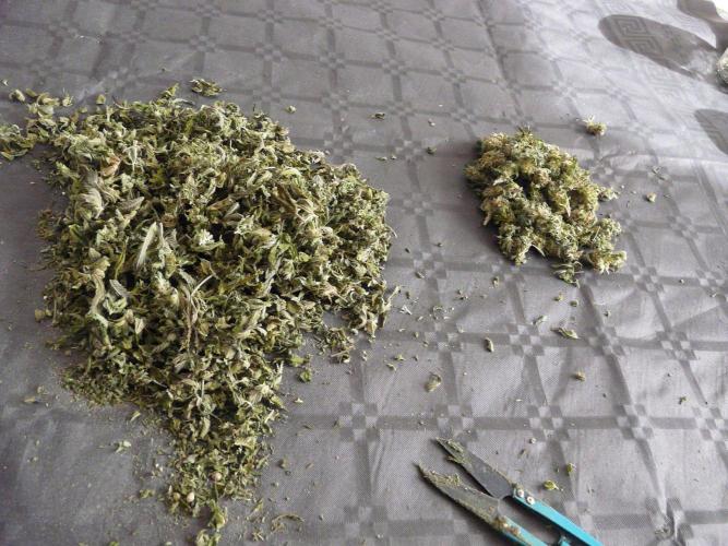 Mix Pack. Week 15