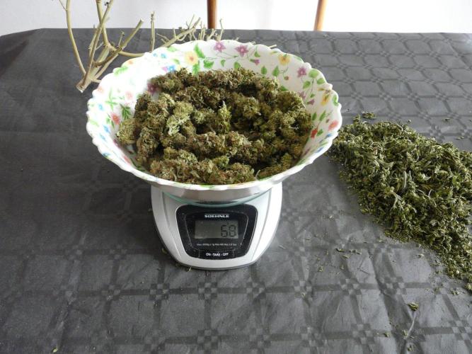 Mix Pack. Week 15