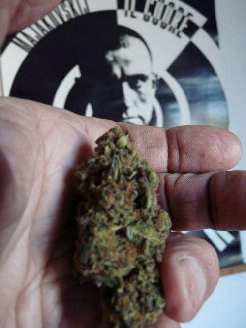 Mix Pack. Week 15