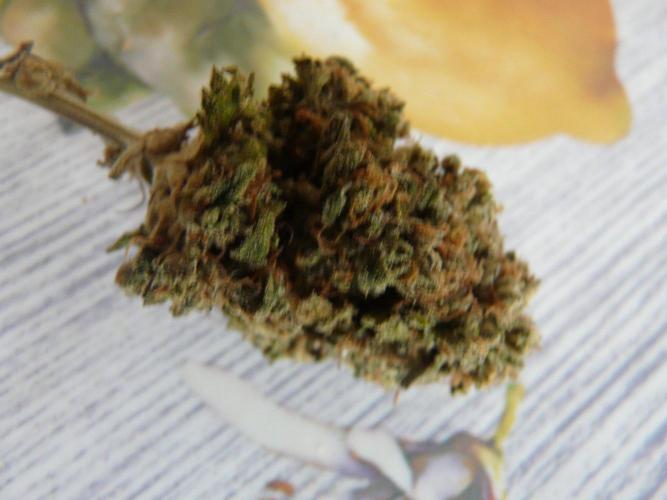 Mix Pack. Week 15