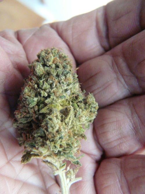 Mix Pack. Week 15