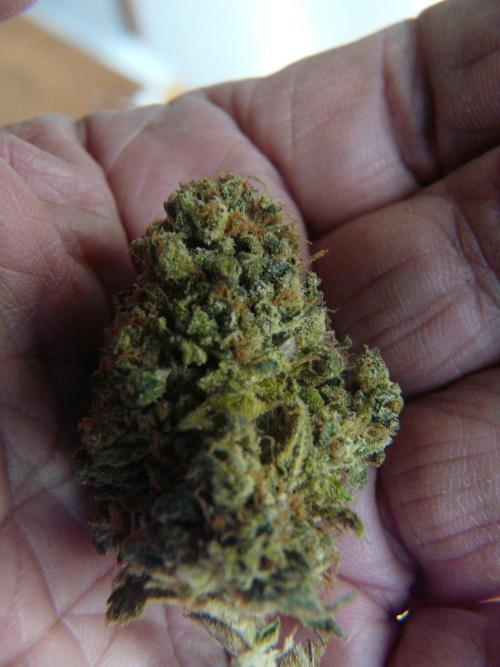 Mix Pack. Week 15