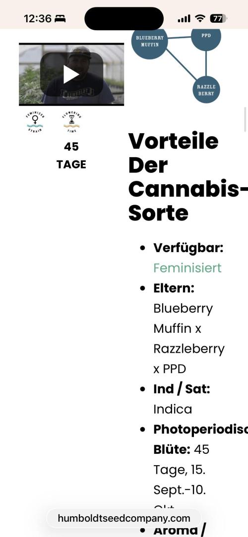Humboldt Bluee’S. Week 1