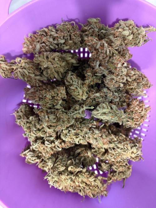 Gorilla Cookie: NoVabbè. Week 14