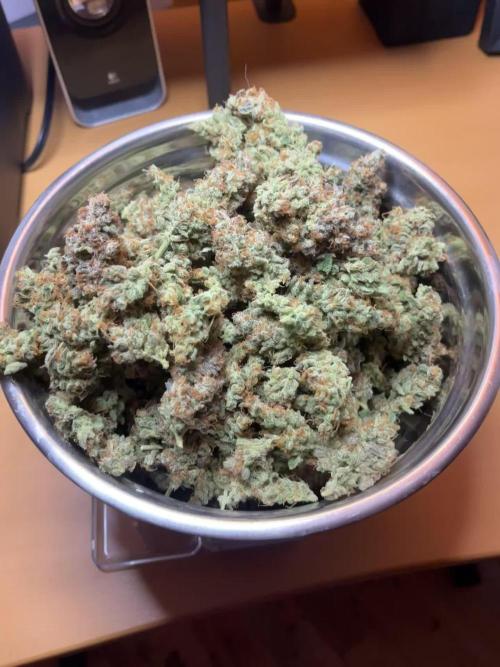 Mix fast bud