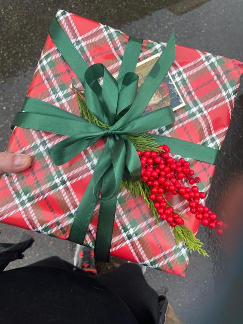 🐻‍❄️Panda vs Gorilla 🦍. Week 12