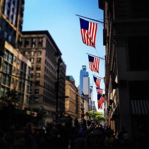 🐻‍❄️Panda vs Gorilla 🦍. Week 12