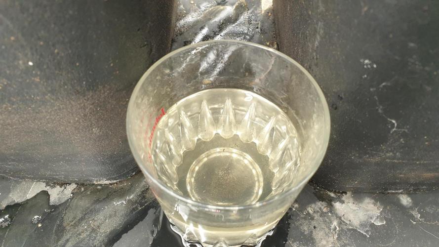 Tropicana Poison & Critical Auto Organic. Week 2 - day8