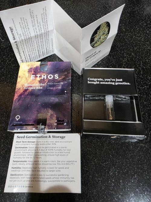 Planet of the Grapes Rbx by Ethos. Week 0