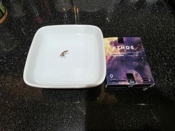 Planet of the Grapes Rbx by Ethos. Week 0