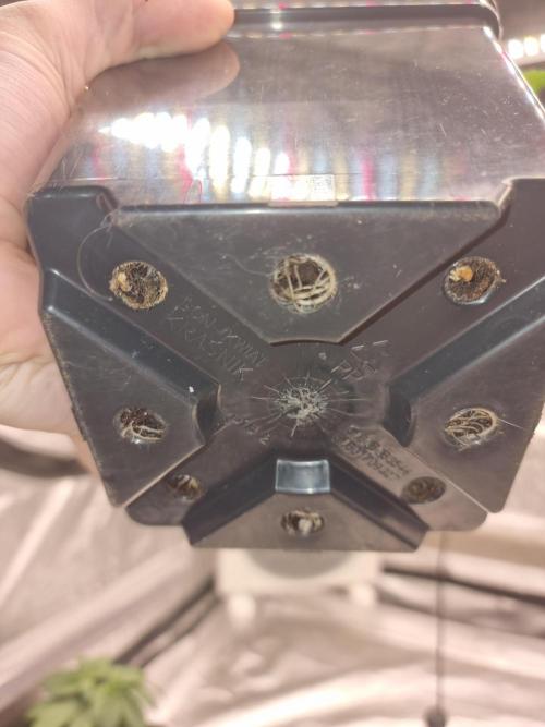 Jealousy  // FC EVO 6500. Week 3