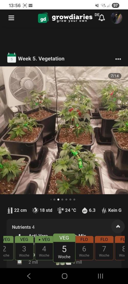 Jealousy  // FC EVO 6500. Week 5