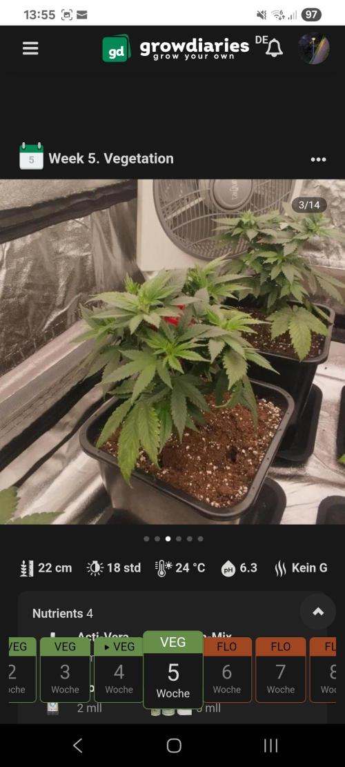 Jealousy  // FC EVO 6500. Week 5