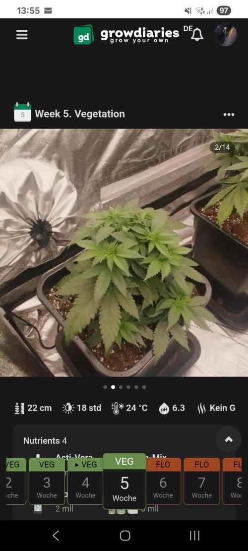 Jealousy  // FC EVO 6500. Week 5