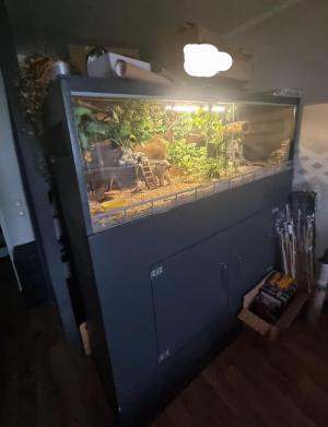 Comment by Pblc_10 photo #1